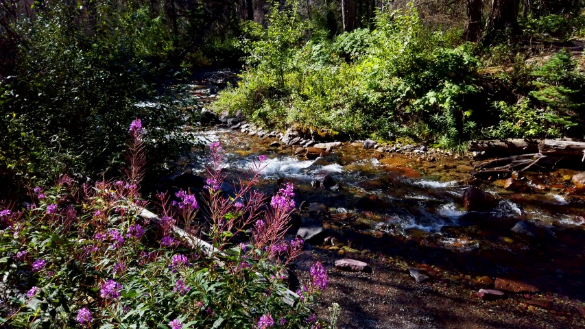 Baring Falls at the Saint Mary Lake, Glacier National Park, Montana