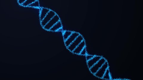 3D animation of abstract DNA on dark backdrop with seamless loop. Conceptual design of genetic information for science animation. Hologram blue glowing rotating DNA double helix on black background.