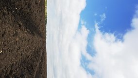 Vertical video. Plowed field after planting potatoes. Time Lapse