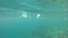 Plastic straws, bags and cups pollution underwater in sea 