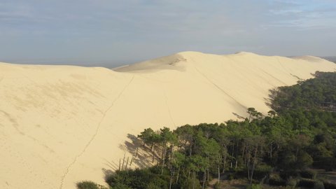France, Dune du Pilat, drone aerial view from trees to sea