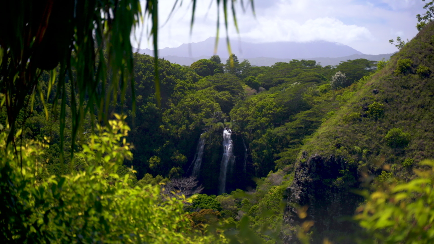Hawaiian Waterfall in Dense Forest Vegetation