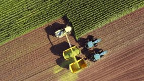 Farm machines harvesting corn in Autumn, Fall, scenic aerial view.
