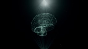 Artificial intelligence Hologram of Human Brain scan AI concept Glowing Light Particles Arranged in the Formation of Human Brain Model Spinning 360 Degree 3d rendering Animated Background - Powered by Shutterstock - Get 15% off with code: PIKWIZARD15