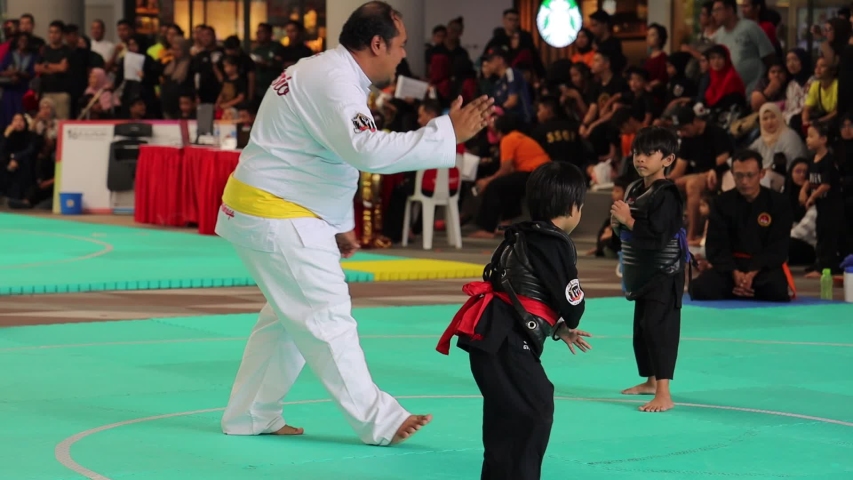 Silat Stock Video Footage - 4K and HD Video Clips  Shutterstock