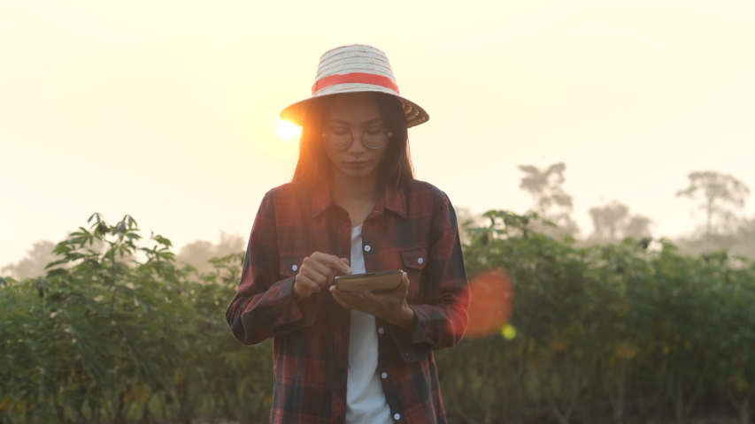 Asia women farmer using digital tablet recording data in cassava field.