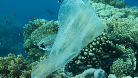 Slow motion, Plastic bag floats next to the beautiful coral reef with school of tropical fish in the blue water. Plastic pollution in the ocean. Plastic garbage environmental pollution problem.