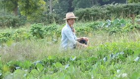 Farmer woman in organic field smelling aromatic plants
