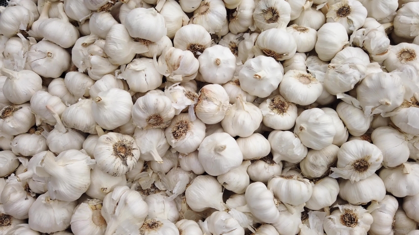 Slow motion tracking shot over a pile of white garlic bulbs, allium, sativum, on display on a market stall Royalty-Free Stock Footage #1038300149