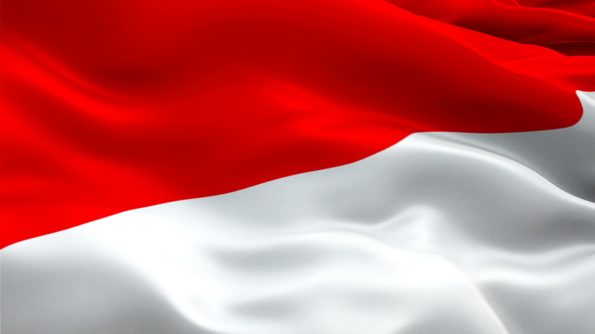 Indonesia Waving Flag. National 3d Stock Footage Video (100% Royalty