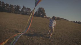 Boy flying a kite on a meadow. Retro look.