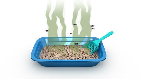 Dirty Cat Litter Box. 3D animation. Alpha channel, loopable.