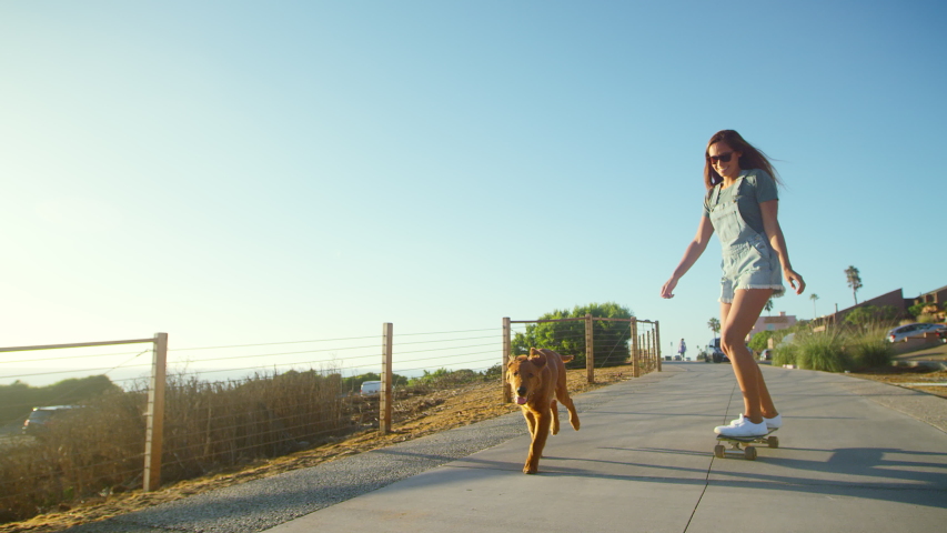 Young happy girl skateboarding with dog at sunset | Shutterstock HD Video #1038333032