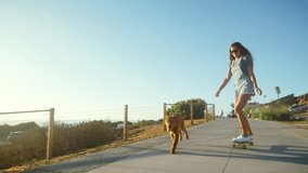 Young happy girl skateboarding with dog at sunset