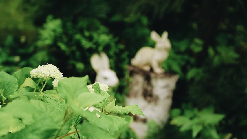Cool figures of hares in the garden. Lovely garden decoration. House territory.