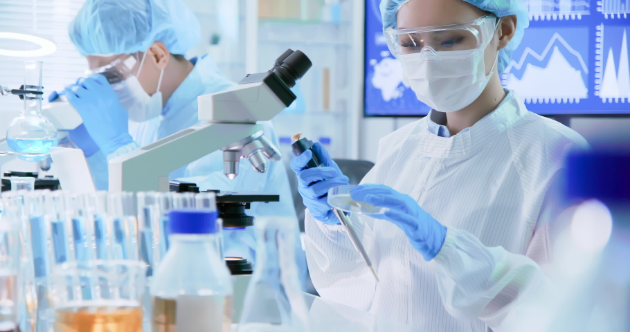 asian scientist team take petri dish in the laboratory Royalty-Free Stock Footage #1038347702