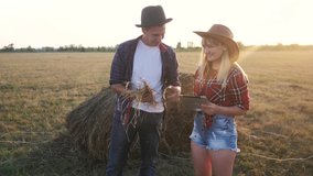 teamwork happy family smart farming concept slow motion video. lifestyle girl and man agronomist holds digital tablet touch pad computer teamwork in field with haystacks grass is studying and
