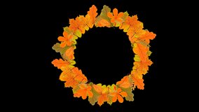 Alpha Transparent Animated Happy Thanksgiving Day Typography Design Wreath template. Background full of branches leaves and hanging maple Leaves. Happy Thanksgiving banner multicolor