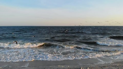 Slow motion panoramic view of the behavior of nesting and migrant birds flying in groups over the waters of Lido beach, Long island, New York, at sunset