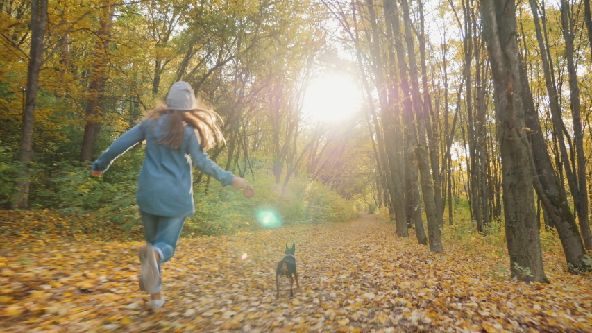 Rear view: Adorable young girl running with her cute dog in the autumn forest in warm sunny day, slow-motion Royalty-Free Stock Footage #1038370262