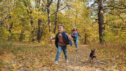 Two kids running with dwarf pinscher on the autumn park, slow motion