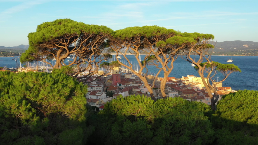 Flying trough pine trees discovering Saint Tropez city sunrise  Royalty-Free Stock Footage #1038372833