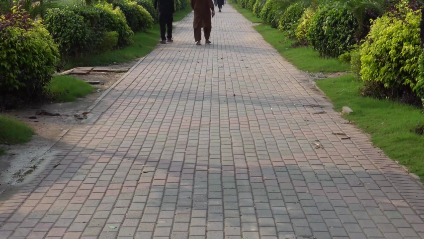 Tilt long shot of garden and park walkway with plants - 4K
