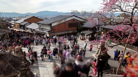 KYOTO/JAPAN - APRIL 30 2019: Kyoto Historical District Sakura Blossom Timelapse