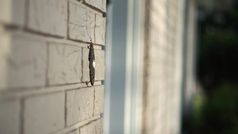 Man Hand Rings Doorbell Close Up 4k