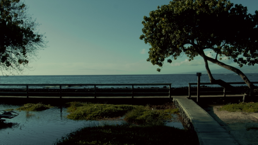 Hawaii Mauna Lani Ponds Walkway to Ocean Tress and greenery Big Island Auberge Hotel