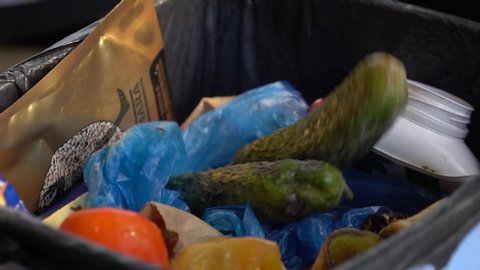 Housewife throws rotten vegetables in the trash. Reducing food loss and waste. Food waste or loss is food that is wasted or lost uneaten