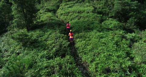 Aerial view of two women  friends  ultramarathon runners running up on mountain slope at tropical rainforest