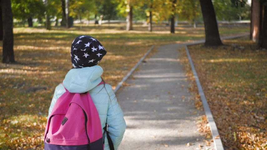 Pretty girl walking in the autumn park.