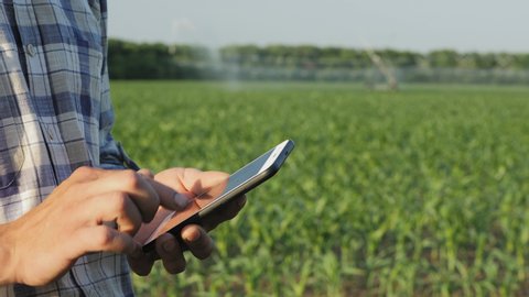 Closeup Hands Farmer Uses Mobile App Stock Footage Video (100% Royalty ...