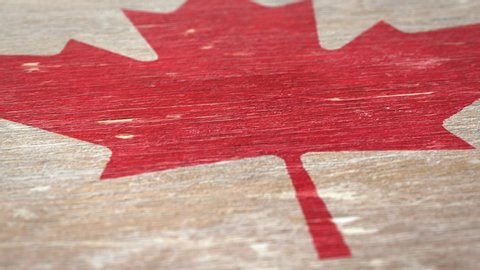 Flag Of Canada. Detail On Wood, Shallow Depth Of Field, Seamless Loop. High-Quality Animation. Ideal For Your Country / Travel / Political Related Projects. 1080p, 60fps.