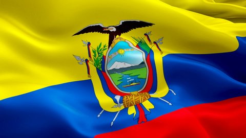 Ecuador waving flag. National 3d Ecuadorian flag waving. Sign of Ecuador seamless loop animation. Ecuadorian flag HD resolution Background. Ecuador flag Closeup 1080p Full HD video for presentation
