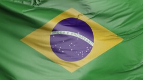 Flag of Brazil - Realistic