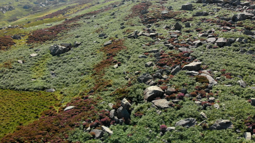 Aerial View Flying Over Ogwen Valley Heather Fields