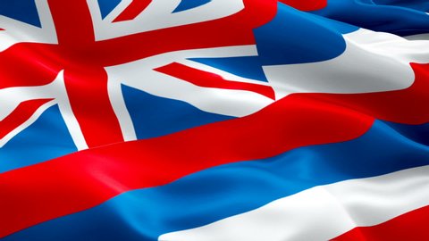 Hawaii waving flag. National 3d United States flag waving. U.S. Hawaii seamless loop animation. American US State flag HD resolution Background. Honolulu Hawaii flag closeup 1080p Full HD video 