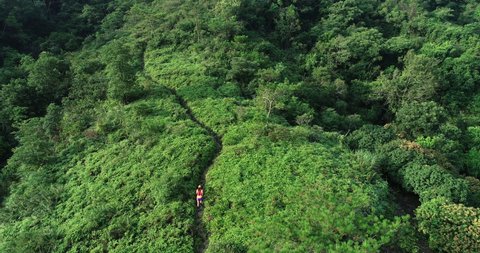 Aerial view of woman ultramarathon runner running up on mountain slope at tropical rainforest,4k