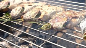 Slow motion video of Grilled fish that is making girl over hot coal