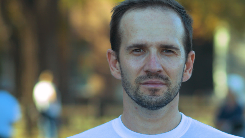Flowers Aster long-term, bush on a flower bed, closeup 
