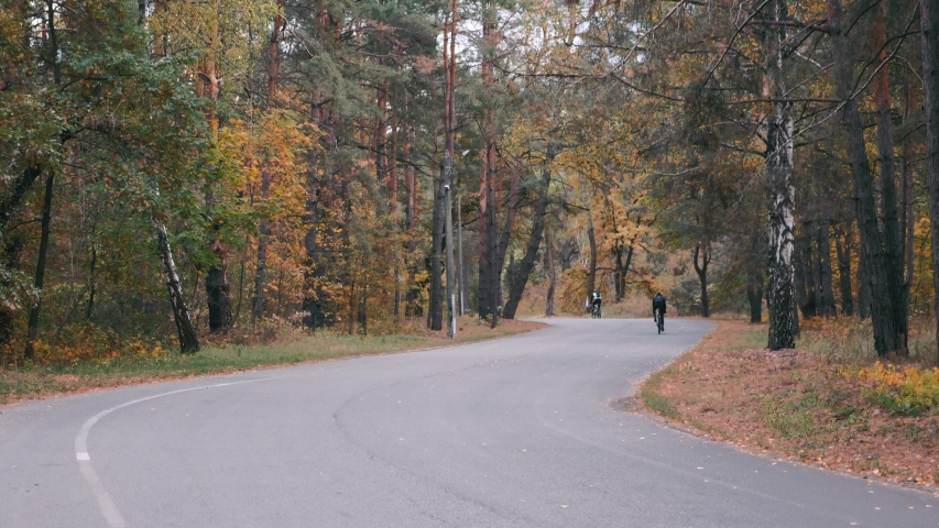 Young father and his son in helmets riding on bikes in fall city park. Happy family having fun on bikes in autumn forest at weekend. Slow motion