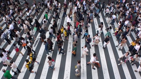 UMEDA, OSAKA, JAPAN - CIRCA SEPTEMBER 2019 : Aerial high angle view of zebra crossing near Osaka train station. Crowd of people at the street. Shot in busy rush hour. Wide slow motion.