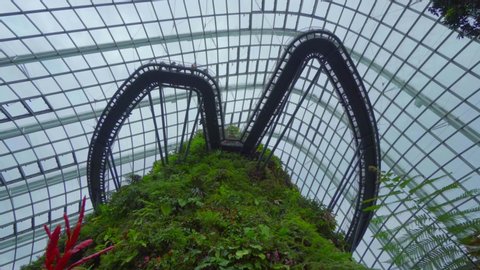 Singapore, Dec 27  2018 
Cinematic low angle view of Cloud Forest, Gardens by the Bay, Singapore
