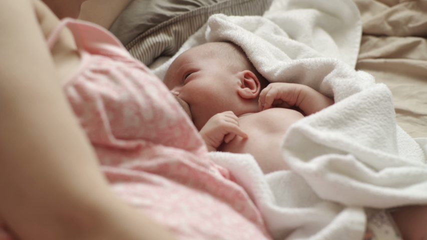 Lactation Stock Video Footage 4k And Hd Video Clips Shutterstock