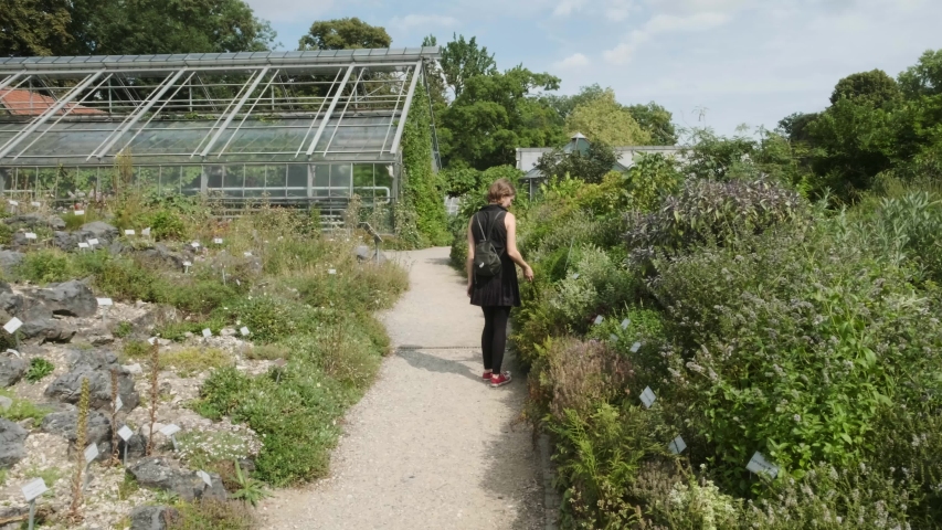 Young woman visiting the botanical garden in Münster, Westfalia, Germany during Summer Royalty-Free Stock Footage #1038543866