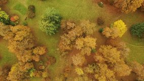 4k drone footage of autumn landscapes with colourful leaves on cloudy day. 
