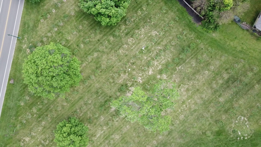 Aerial Drone Footage of Woodward Ave and Palmer Park. Detroit Skyline on a beautiful sunny day. Public transportation, and people walking by on the city streets. 