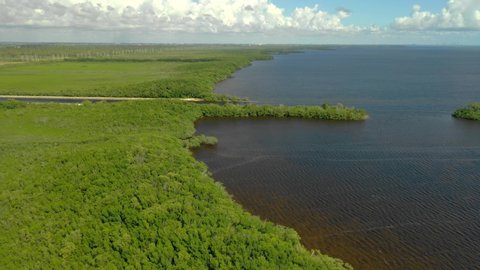 Aerial video of the Florida Everglades and Biscayne Bay 4k